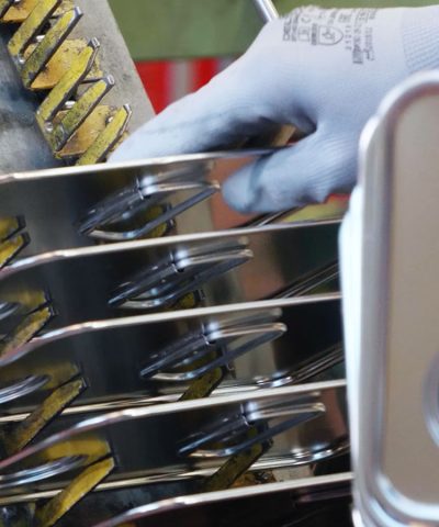 falco_sede_di_Bonefro_7